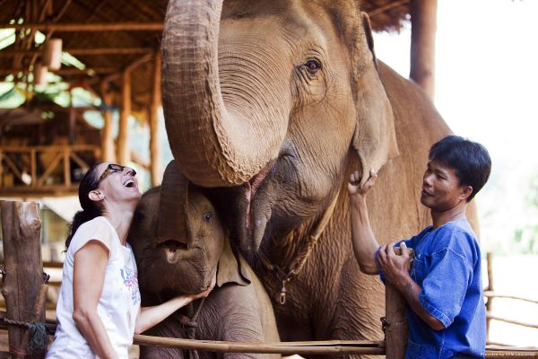 Hotel Anantara Golden Triangle Elephant Camp & Resort (Chiang Saen)